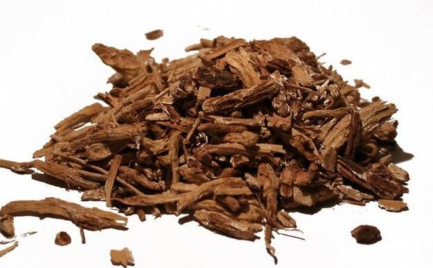 Chicory root - an effective folk remedy for pest control