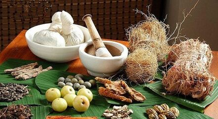 Popular treatments against pests in the body