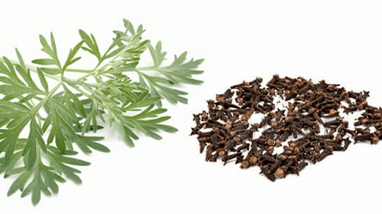 Spops and worm to eliminate pests from the body