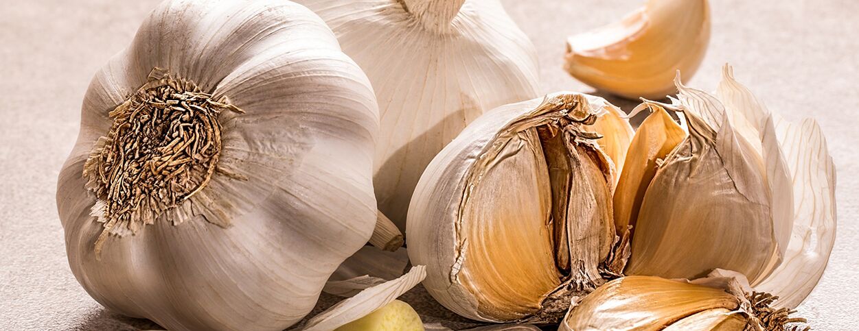garlic against worms