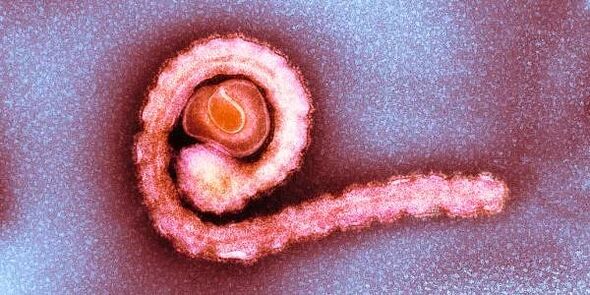 dwarf film on the human body